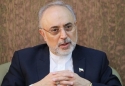 پاسخ صالحی به ادعای بولتون درباره اطلاعات غلط ایران به آژانس: مگر بولتون حرف راست هم میزند؟/ هیات نظارت بر برجام در خصوص ماندن یا خروج از آن تصمیم میگیرد