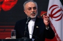 صالحی:انتظار ایران از انگلیس ایفای نقش موثر در نوسازی رآکتور اراک است