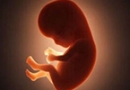 واکنش جالب یک جنین به طعم غذاهایی که مادر می‌خورد+عکس