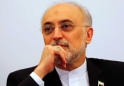 علی اکبر صالحی: درحال بررسی موضوع کاندیداتوری ام هستم / اگر به قطعیت رسیدم، فردا یا پس فردا به وزارت کشور مراجعه میکنم