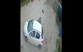 ویدیو/ یورش ناگهانی پژو ۲۰۷ به حیاط یک خانه!