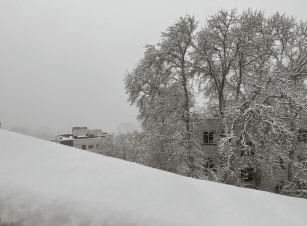 بارشهای سنگین در پایتخت | شهرداری منطقه یک: تا ۲۰ سانتیمتر برف باریده بارشهای سنگین در پایتخت | شهرداری منطقه یک: تا ۲۰ سانتیمتر برف باریده