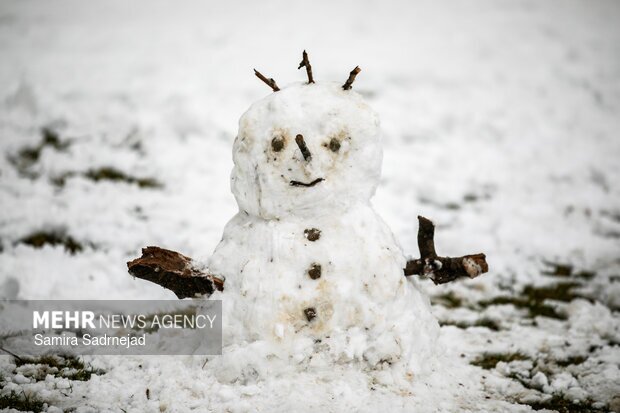 تصاویر/ روز برفی تهران