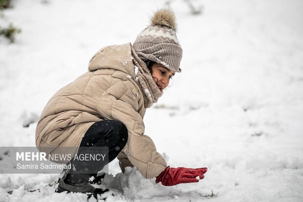 تصاویر/ روز برفی تهران