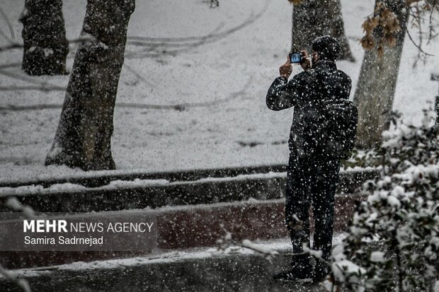 تصاویر/ روز برفی تهران