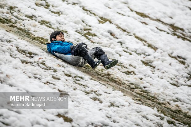 تصاویر/ روز برفی تهران
