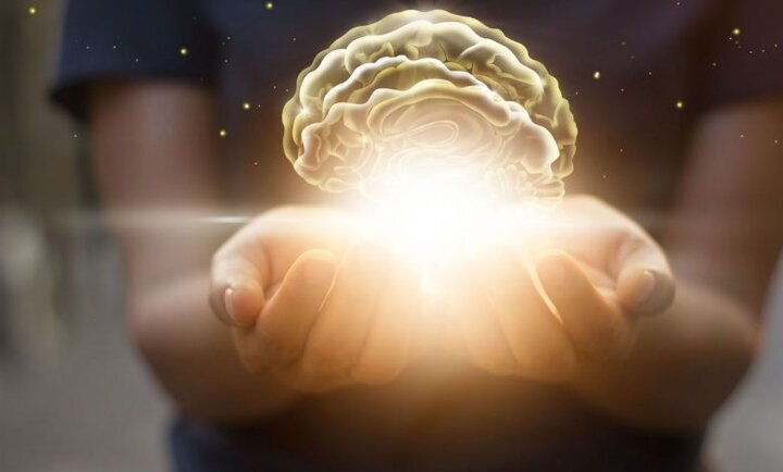 این عادتهای ساده برای تقویت و سلامت مغز را از دست ندهید این عادتهای ساده برای تقویت و سلامت مغز را از دست ندهید