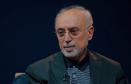 علی اکبر صالحی: ایده ظریف برای کنسرسیوم هسته‌ای، از قبل از انقلاب مطرح است
