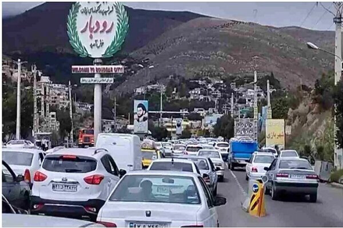 تصادفات ساختگی برای فروش زیتون حقیقت دارد؟
