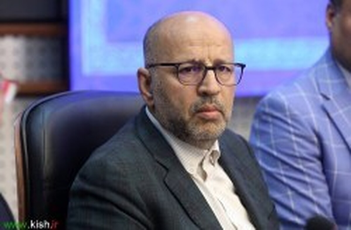 محمد رضا دشتی اردکانی:
وزارت اقتصاد به دنبال احیای جایگاه واقعی مناطق آزاد است