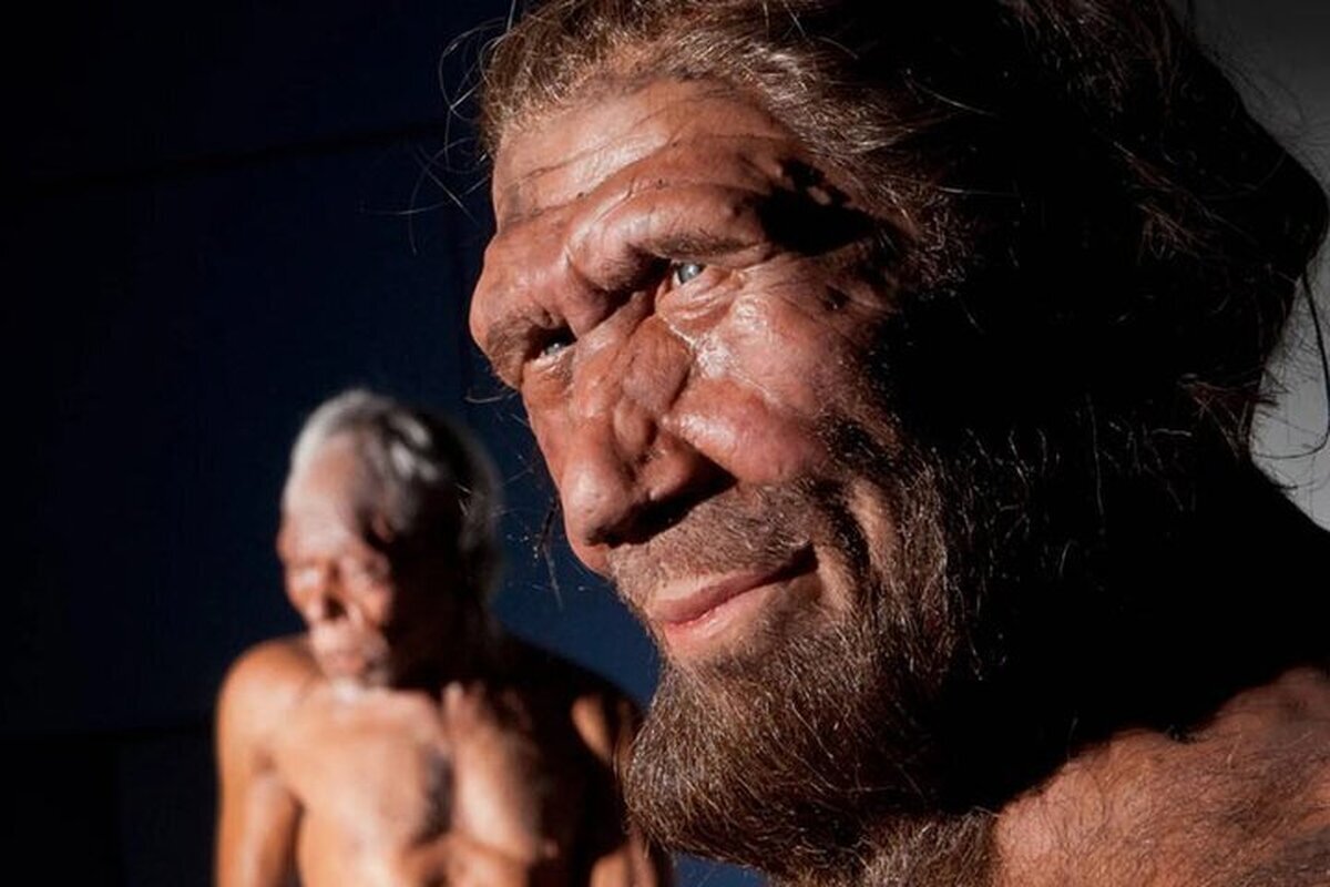 «انسانهای هابیت» چرا جثۀ کوچکی داشتند؟ «انسانهای هابیت» چرا جثۀ کوچکی داشتند؟