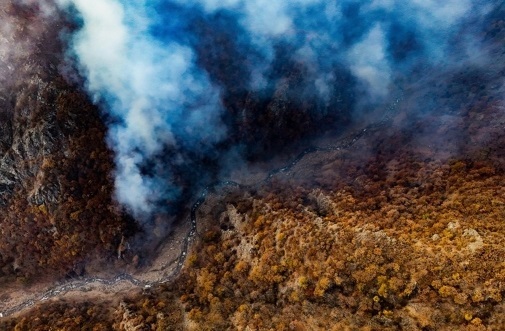 ورود به این جنگل‌ها تا بارش مؤثر، ممنوع شد