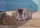 افشاگری سی‌ان‌ان: ارتش آمریکا به عمد تحقیقات درباره حمله به مدرسه میناب را تکمیل نمی‌کند