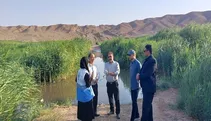 بوی نامطبوع و هجوم حشرات در رودخانه شور پرند؛ منشأ چیست؟