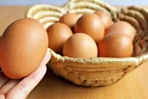 وزارت کشاورزی: قیمت تخم‌مرغ اصلاح می‌شود