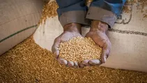 مبلغ فطریه امسال از سوی مراجع تقلید اعلام شد