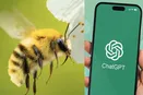 بررسی دو پژوهش جدید درباره شباهت حشرات و «چت‌جی‌پی‌تی»!