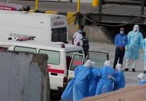 هانتاویروس جدید نیست | هیچ موردی از این بیماری در کشور گزارش نشده