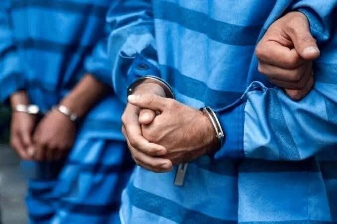  قتل بر سر سگ‌گردانی در سعادت آباد تهران