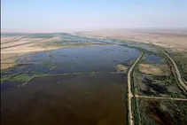 مدیر کل محیط زیست استان خوزستان: هورالعظیم در حال حاضر فقط ۳۸ درصد آب دارد