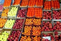 وزیرکشاورزی: میوه شب عید با کیفیت بالا به میزان ۳ برابر سال گذشته تامین شده است