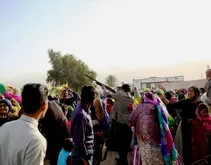 ۴ تالار عروسی به دلیل تیراندازی پلمپ شد