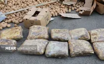 ۱۰۰ کیلو تریاک در بار سیب‌زمینی کشف شد