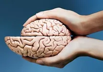 مغز انسان ممکن است در حال کوچک‌تر شدن باشد | آیا اندازه مغز به میزان هوش ارتباط دارد؟