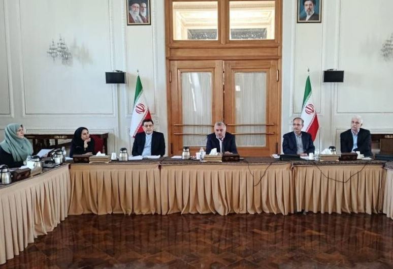 معاون اقتصادی عراقچی: در شرایط تحریم برخی قوانین نیازمند بازنگری هستند معاون اقتصادی عراقچی: در شرایط تحریم برخی قوانین نیازمند بازنگری هستند