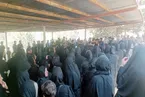 اسما خواسته بود برایش استوری بگذاریم؛ ماجرای خودکشی ۳ دختر پس از اخاذی اینترنتی