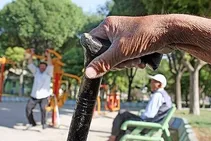 هشدار؛ سرعت سالمندی ایران سه برابر ژاپن